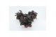 Heuchera micrantha palace purple 