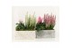 Arrangementen tuinplanten 41603: Outdoor autumn arrangement 2 pp 