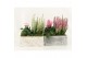 Arrangementen tuinplanten 41603: Outdoor autumn arrangement 2 pp 