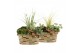 Arrangementen tuinplanten 41625: Outdoor autumn arrangement 3 pp 