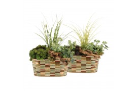 Arrangementen tuinplanten 41625: Outdoor autumn arrangement 3 pp