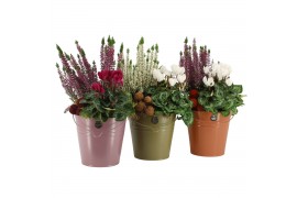 Arrangementen tuinplanten 41637: Outdoor autumn arrangement 2 pp