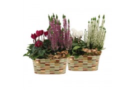 Arrangementen tuinplanten 41623: Outdoor autumn arrangement 2 pp