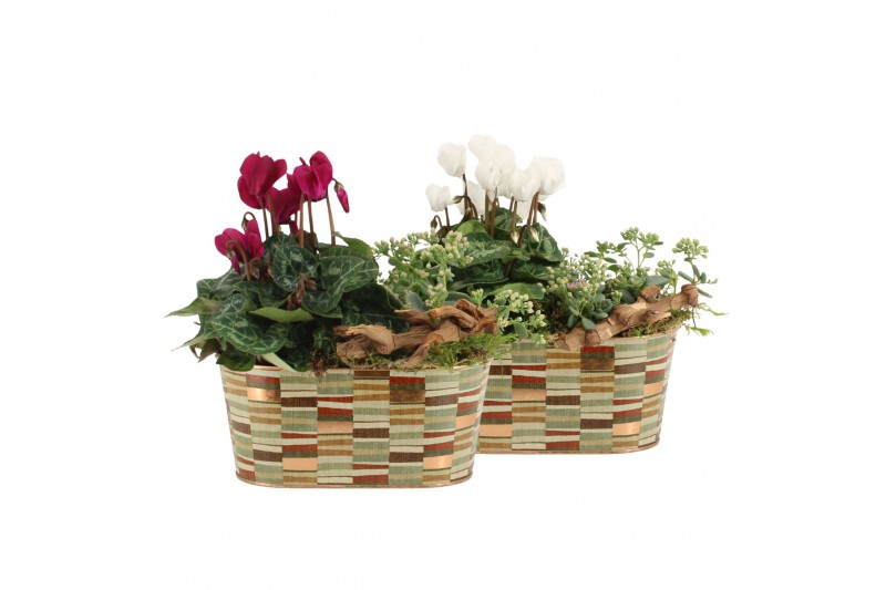 Arrangementen tuinplanten 41624: Outdoor autumn arrangement 2 pp 