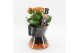 Arrangementen kamerplanten HWCR-2501 Halloween creatie 1 pp 