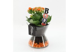 Arrangementen kamerplanten HWCR-2501 Halloween creatie 1 pp