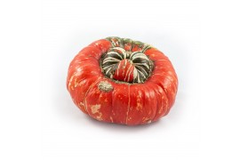 Cucurbita turks turban mix 3 (1035)