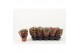 Kalanchoe rosalina don amador Catchy Season rood 