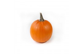 Cucurbita maxima halloween XXL 1 (1055)