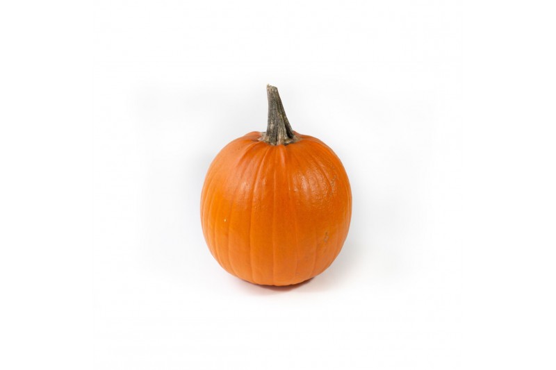 Cucurbita maxima halloween XXL 1 (1055) 