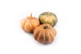 Cucurbita Muscat de Provence 3 (1044)