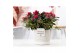 Rhododendron simsii mix rood AzaleaP&PURE Collection Jade keramiek 