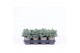 Juniperus squamata blue star 
