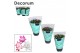 Schlumbergera mix 4 kleuren 