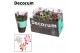 Schlumbergera mix 4 kleuren 