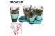 Schlumbergera mix 4 kleuren 