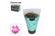 Schlumbergera roze decorum met hoes 