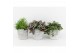 Kamerplanten mix groen in stone look pot 