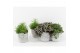 Kamerplanten mix groen in stone look pot 