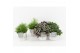 Rhipsalis mix in wood wit 