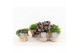Rhipsalis mix in wood bruin 
