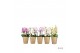 Phalaenopsis multiflora mix Duetto Multi Mix - 4 tak, 60+ bloem 