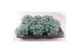 Sedum spathulifolium cape blanco 