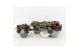 Tradescantia mix in expression keramiek 