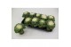 Brassica oleracea gekruld wit 