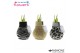 Hippeastrum gewaxt No Water Flowers Fashionz Animal Print 