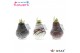 Hippeastrum gewaxt No Water Flowers Waxz Art v Gogh 
