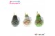 Hippeastrum gewaxt No Water Flowers Waxz Art Picasso 