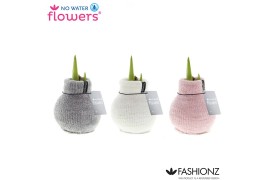 Hippeastrum gewaxt No Water Flowers Fashionz Cozy Fluffy