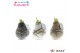 Hippeastrum gewaxt No Water Flowers Waxz Art Rembrandt 