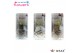 Hippeastrum gewaxt No Water Flowers Waxz Art Rembrandt in Koker 
