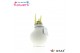 Hippeastrum gewaxt No Water Flowers Waxz White 