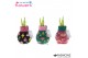 Hippeastrum gewaxt No Water Flowers Fashionz Patternz Disco 