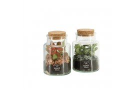 Arrangementen kamerplanten 90834: Terrarium arrangement 1 pp