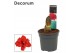 Hippeastrum double galaxy grp red peacock Hippeastrum Red Peacock 2 Kn 