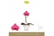 Phalaenopsis paars Singolo - Hida - 1 bloem - Lazio White 