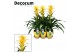 Guzmania hilda Luxe keramiek 