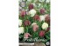 Bollen droog fritillaria Fritillaria Meleagris Mixed x15 7/+ overig pp 