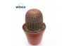 Echinocactus Echinocereus Rubrispinus