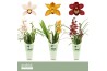 Cymbidium mix 2 tak - Orchid Collection Potcover