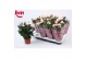 Rosa light pink beau monde licht roze 