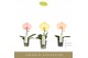 Phalaenopsis mix Singolo - Aquarello Sunlight - 1 bloem 