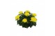 Chrysanthemum ind. cosmo yellow Deco Chrysant geel schaal 