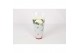 Chrysanthemum ind. cosmo white Deco Chrysant wit 