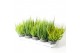 Calluna vulg. skyline mix Skyline - 20cm Diameter 