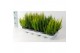 Calluna vulg. skyline mix Skyline - 20cm Diameter 